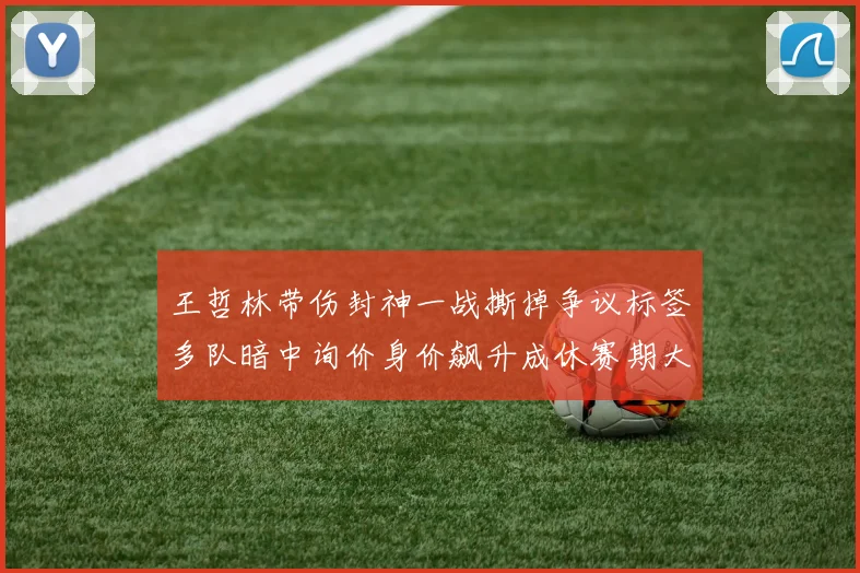 王哲林带伤封神一战撕掉争议标签多队暗中询价身价飙升成休赛期大鱼