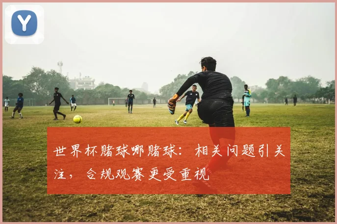 世界杯赌球哪赌球：相关问题引关注，合规观赛更受重视