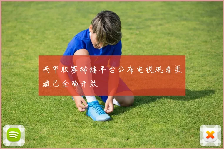 西甲联赛转播平台公布电视观看渠道已全面开放